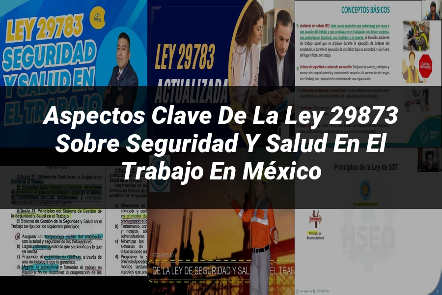 "Aspectos Clave de la Ley 29873 sobre Seguridad y Salud en el Trabajo en México"