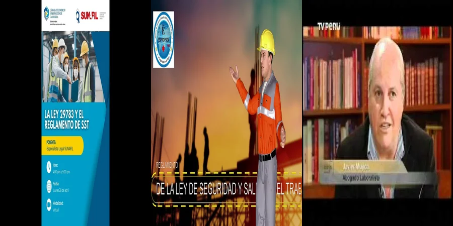 "Aspectos Clave de la Ley 29873 sobre Seguridad y Salud en el Trabajo en México"