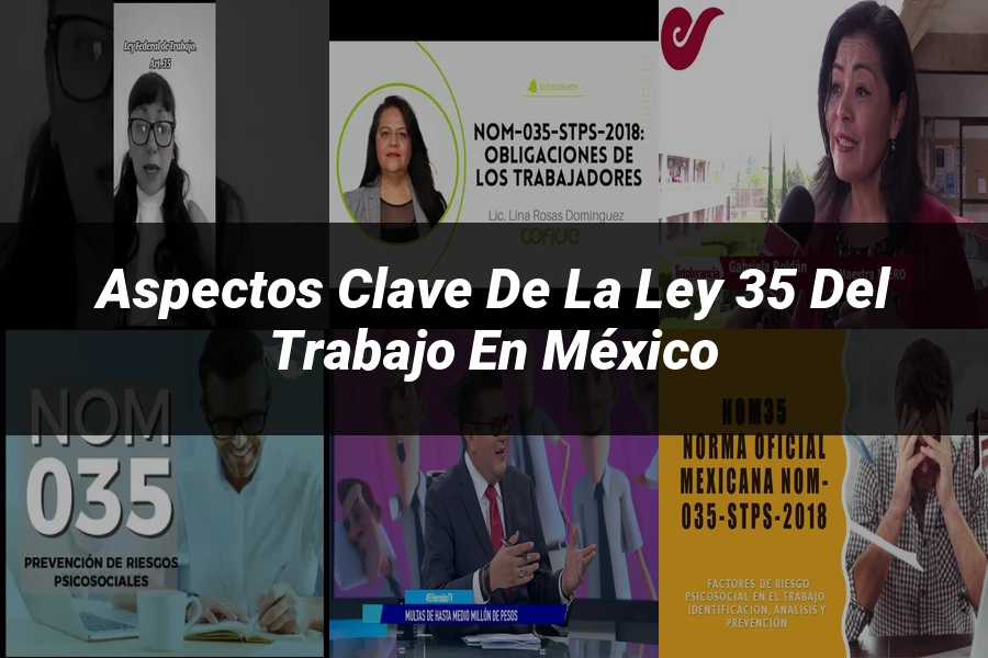 "Aspectos Clave de la Ley 35 del Trabajo en México"
