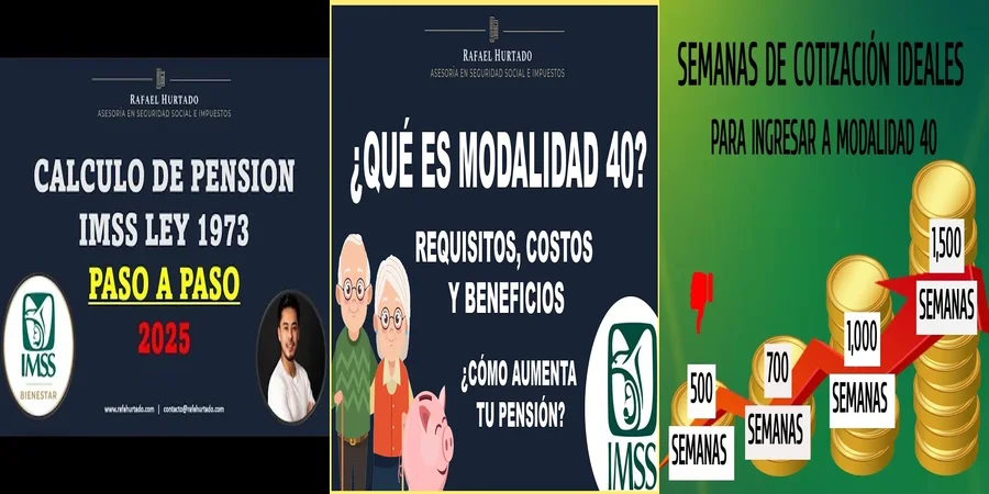 "Aspectos Clave de la Ley 40 del IMSS que Todo Abogado Debe Saber