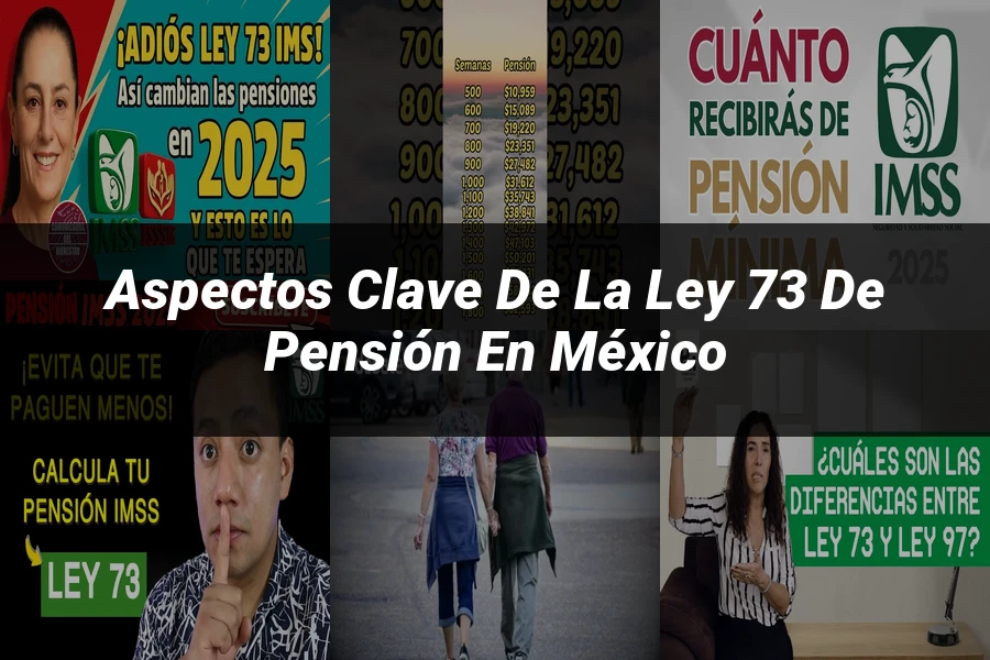 "Aspectos Clave de la Ley 73 de Pensión en México"