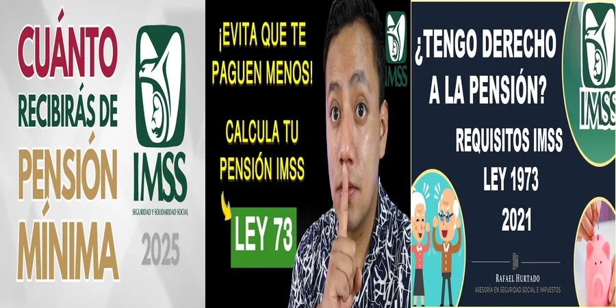 "Aspectos Clave de la Ley 73 de Pensión en México"