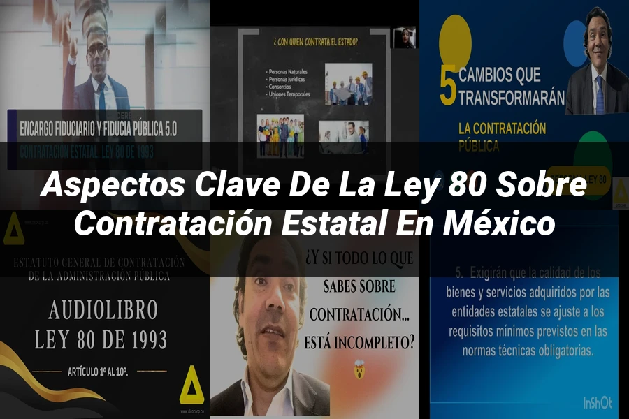 "Aspectos Clave de la Ley 80 sobre Contratación Estatal en México"