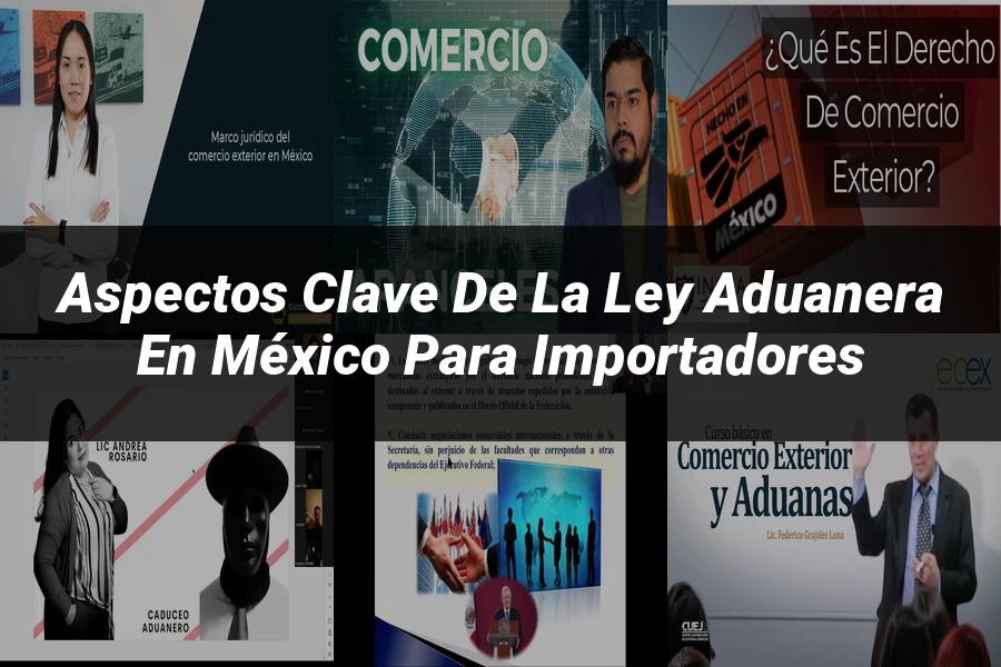 "Aspectos Clave de la Ley Aduanera en México para Importadores"