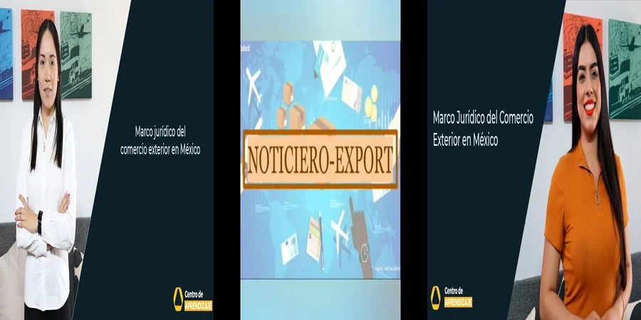 "Aspectos Clave de la Ley Aduanera en México para Importadores"