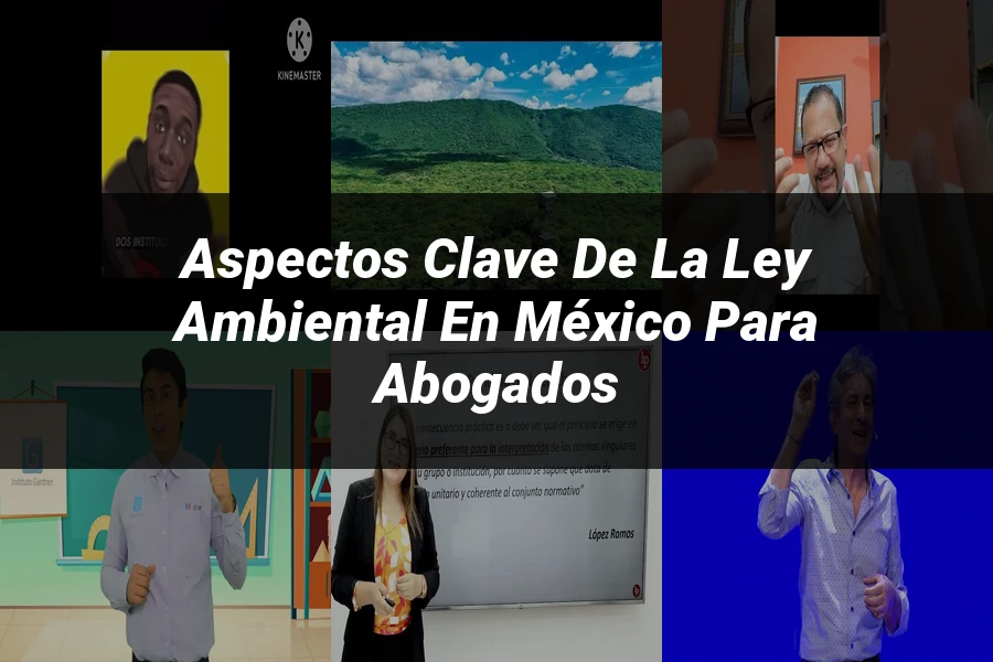 "Aspectos Clave de la Ley Ambiental en México para Abogados"