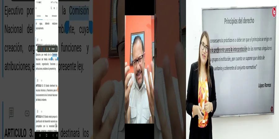 "Aspectos Clave de la Ley Ambiental en México para Abogados"