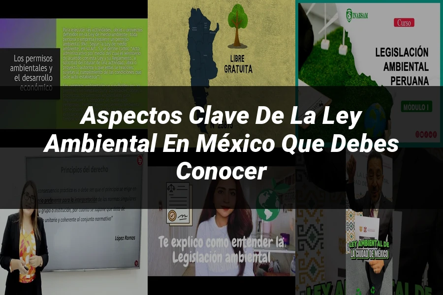 "Aspectos Clave de la Ley Ambiental en México que Debes Conocer"
