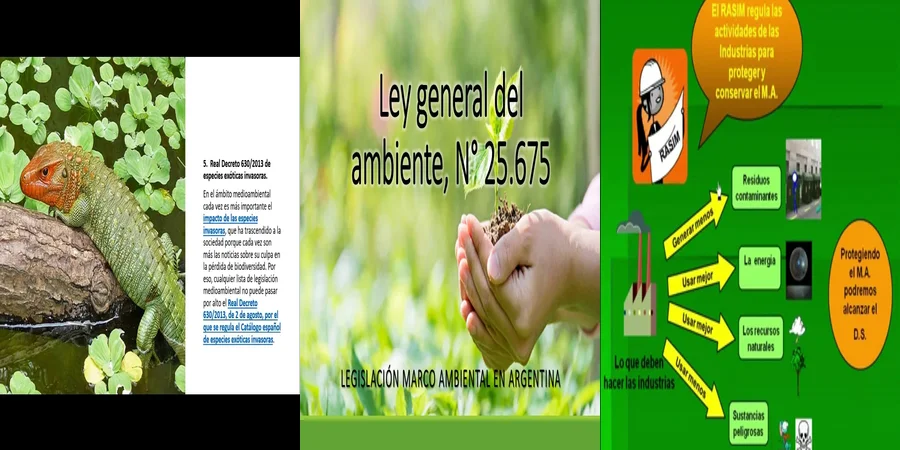"Aspectos Clave de la Ley Ambiental en México que Debes Conocer"