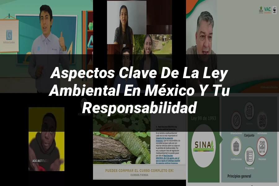 "Aspectos Clave de la Ley Ambiental en México y Tu Responsabilidad"