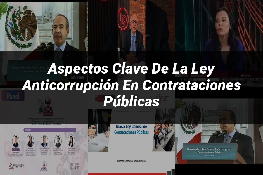 "Aspectos Clave de la Ley Anticorrupción en Contrataciones Públicas"