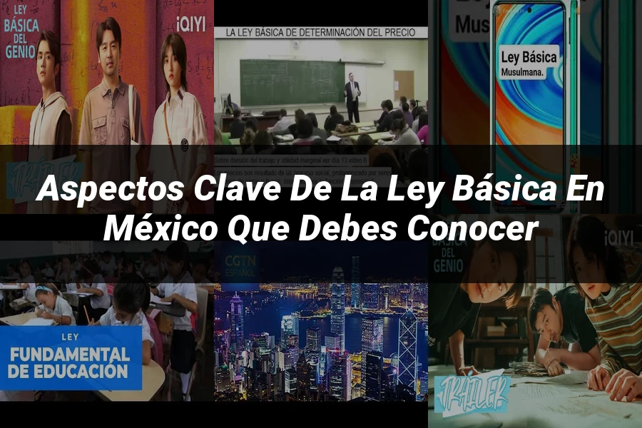 "Aspectos Clave de la Ley Básica en México que Debes Conocer"