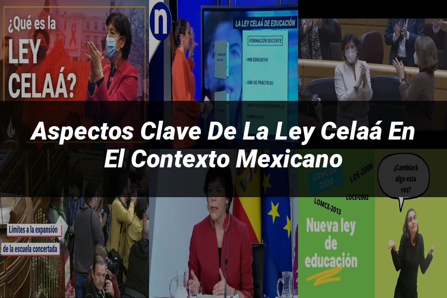 "Aspectos Clave de la Ley Celaá en el Contexto Mexicano"