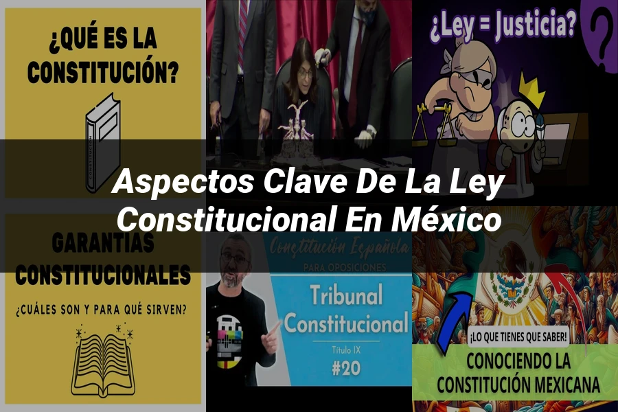 "Aspectos Clave de la Ley Constitucional en México"