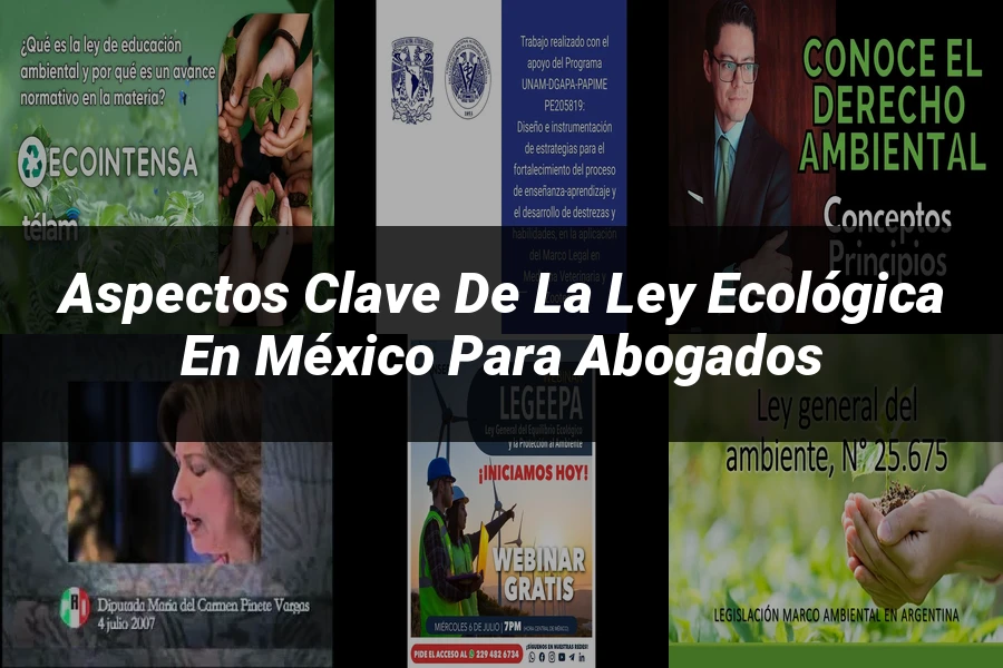 "Aspectos Clave de la Ley Ecológica en México para Abogados"
