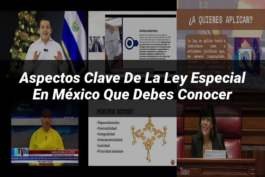 "Aspectos Clave de la Ley Especial en México que Debes Conocer"