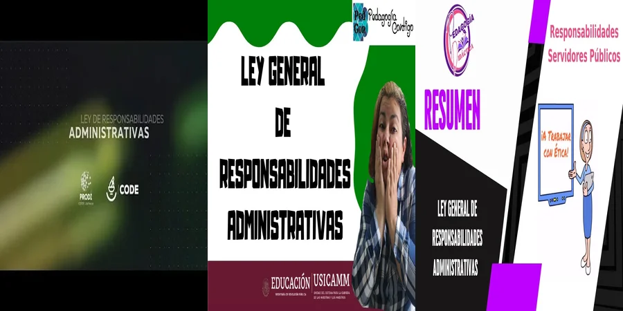 "Aspectos Clave de la Ley General de Responsabilidades en México"