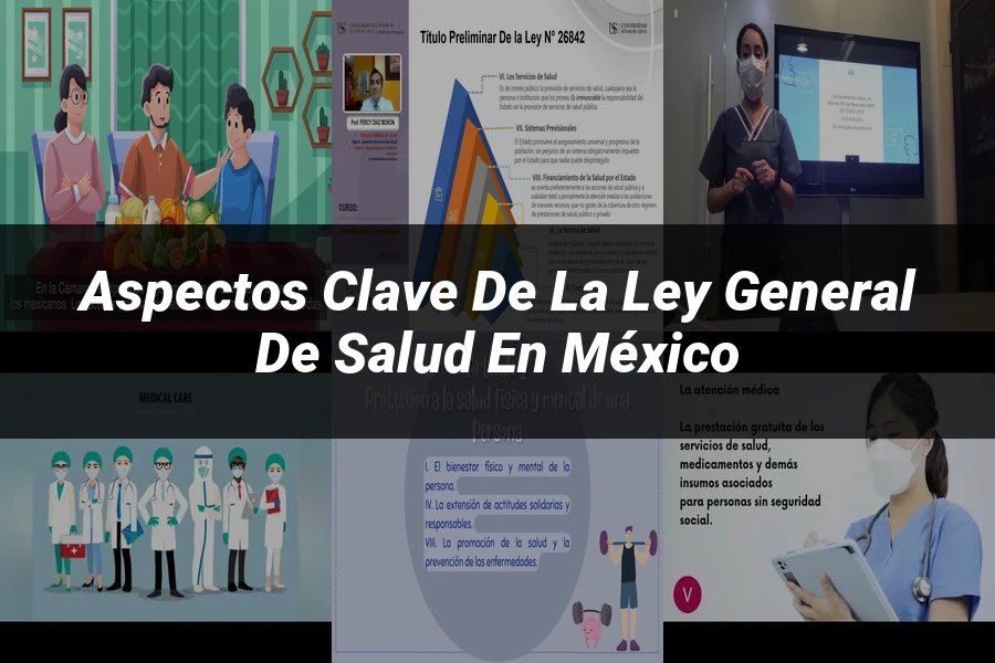 "Aspectos Clave de la Ley General de Salud en México"
