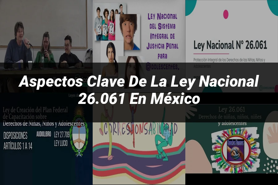 "Aspectos Clave de la Ley Nacional 26.061 en México"