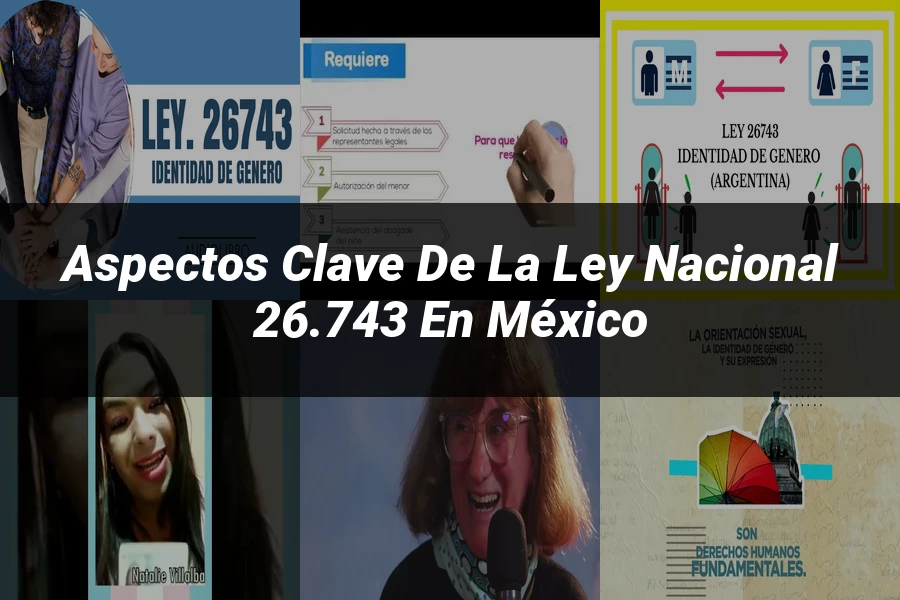 "Aspectos Clave de la Ley Nacional 26.743 en México"
