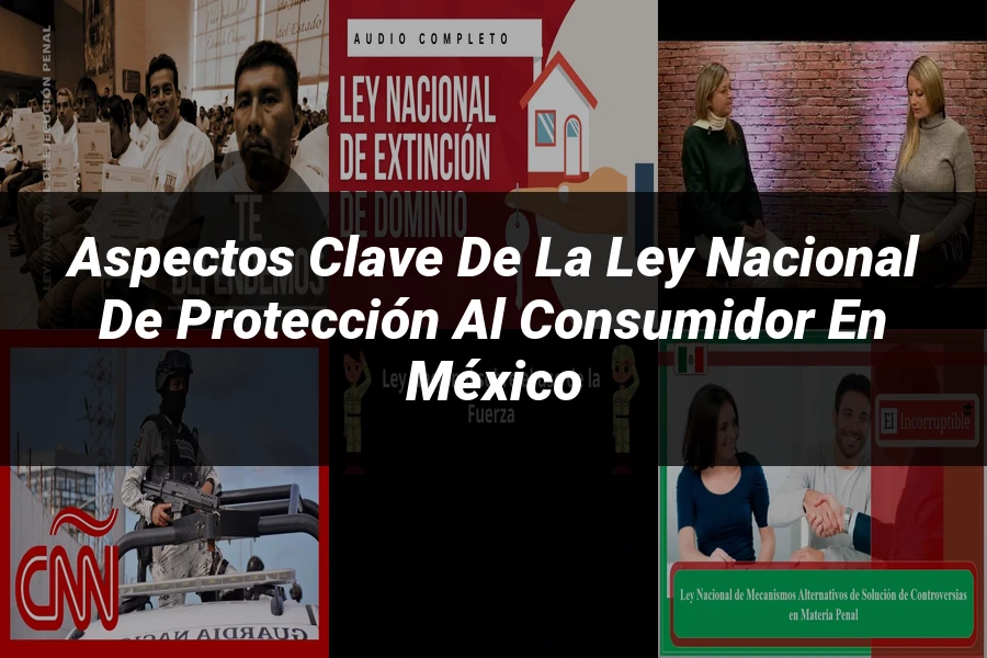 "Aspectos Clave de la Ley Nacional de Protección al Consumidor en México"