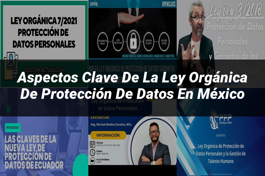 "Aspectos Clave de la Ley Orgánica de Protección de Datos en México"