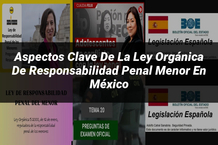 "Aspectos Clave de la Ley Orgánica de Responsabilidad Penal Menor en México"