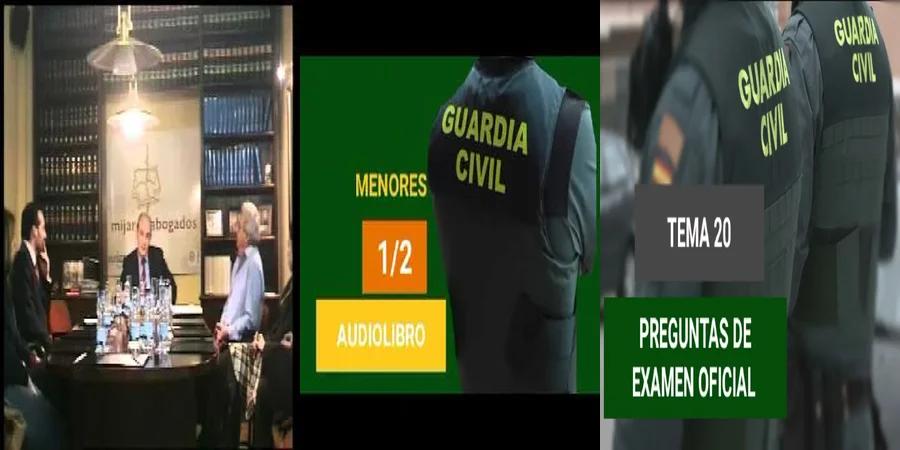 "Aspectos Clave de la Ley Orgánica de Responsabilidad Penal Menor en México"