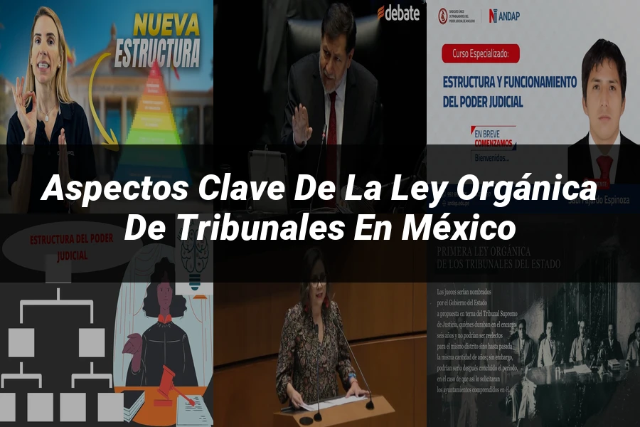 "Aspectos Clave de la Ley Orgánica de Tribunales en México"