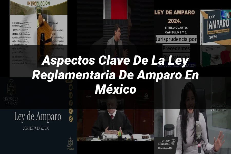 "Aspectos Clave de la Ley Reglamentaria de Amparo en México"