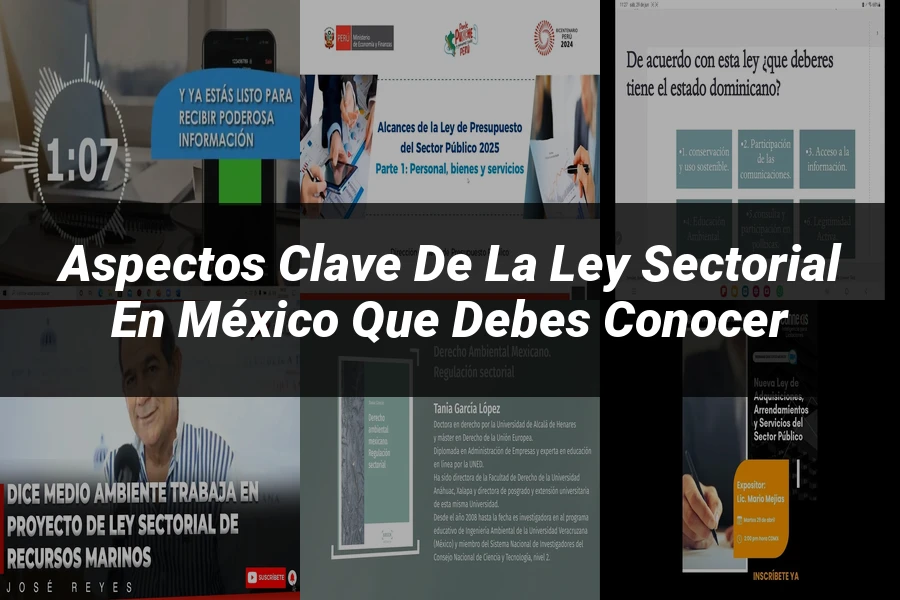 "Aspectos Clave de la Ley Sectorial en México que Debes Conocer"