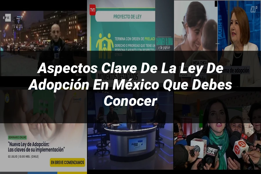 "Aspectos Clave de la Ley de Adopción en México que Debes Conocer"