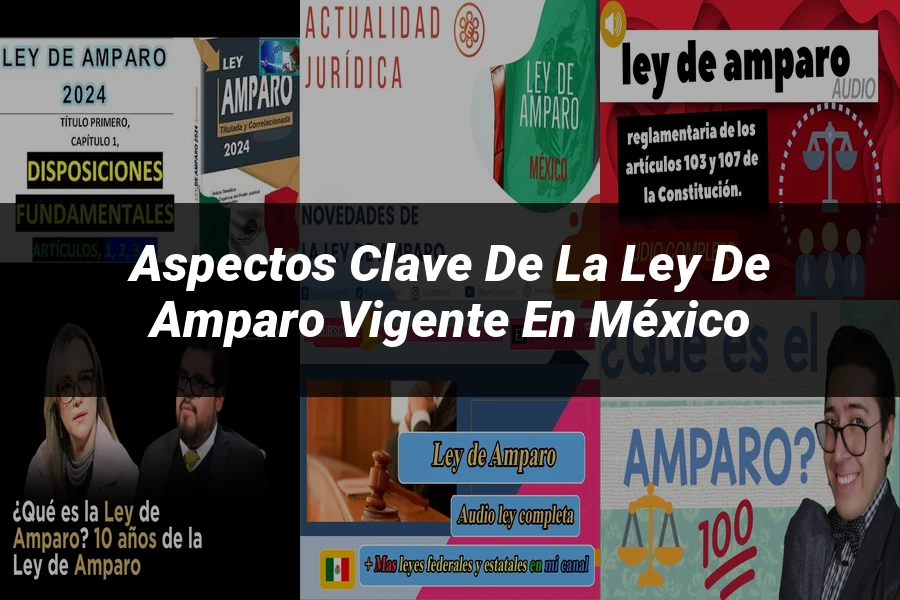 "Aspectos Clave de la Ley de Amparo Vigente en México"