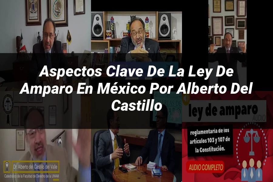 "Aspectos Clave de la Ley de Amparo en México por Alberto del Castillo"