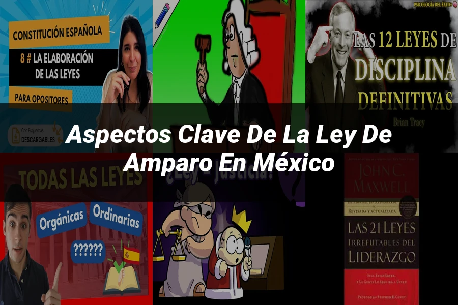 "Aspectos Clave de la Ley de Amparo en México"