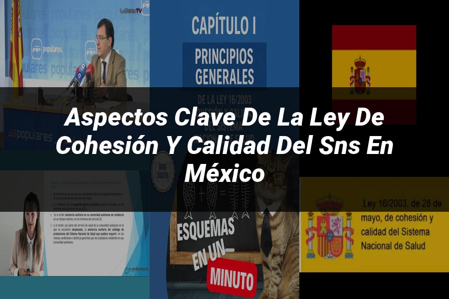 "Aspectos Clave de la Ley de Cohesión y Calidad del SNS en México"