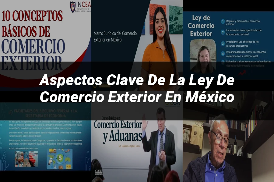 "Aspectos Clave de la Ley de Comercio Exterior en México"