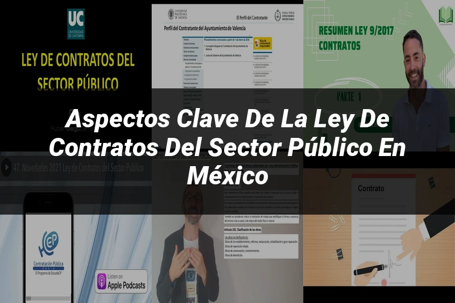 "Aspectos Clave de la Ley de Contratos del Sector Público en México"