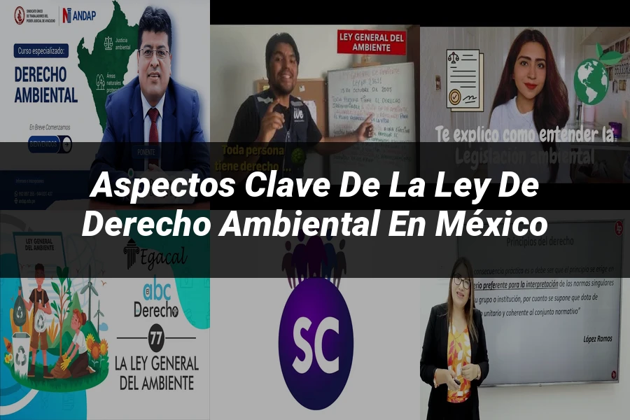 "Aspectos Clave de la Ley de Derecho Ambiental en México"