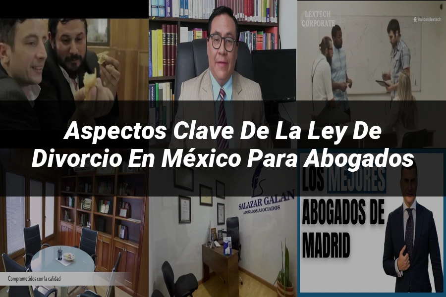 "Aspectos Clave de la Ley de Divorcio en México para Abogados"