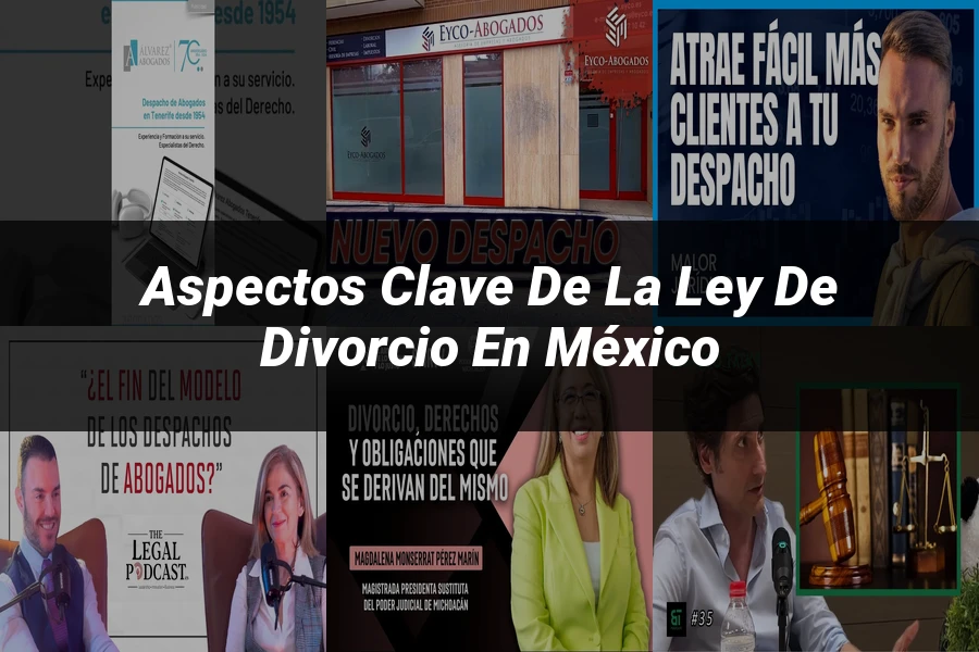 "Aspectos Clave de la Ley de Divorcio en México"