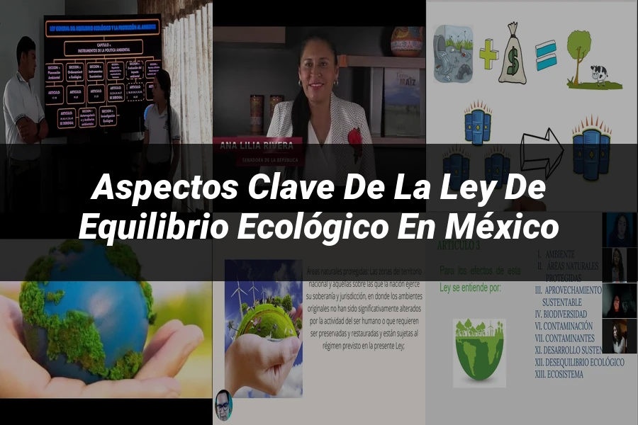 "Aspectos Clave de la Ley de Equilibrio Ecológico en México"