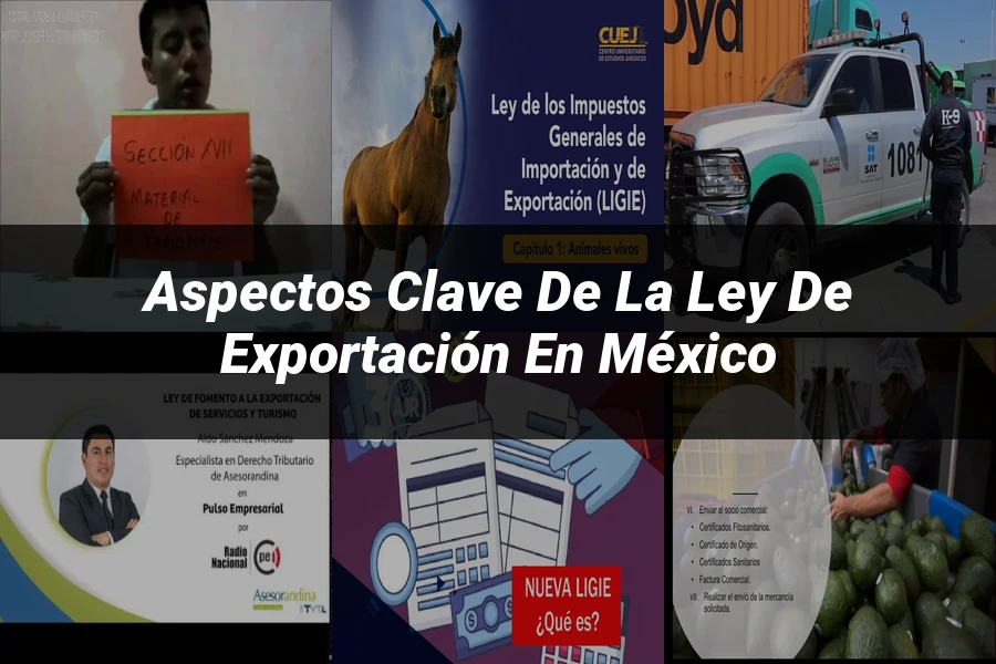 "Aspectos Clave de la Ley de Exportación en México"