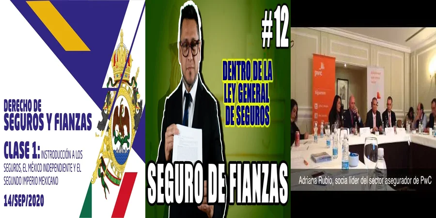 "Aspectos Clave de la Ley de Fianzas y Seguros en México"