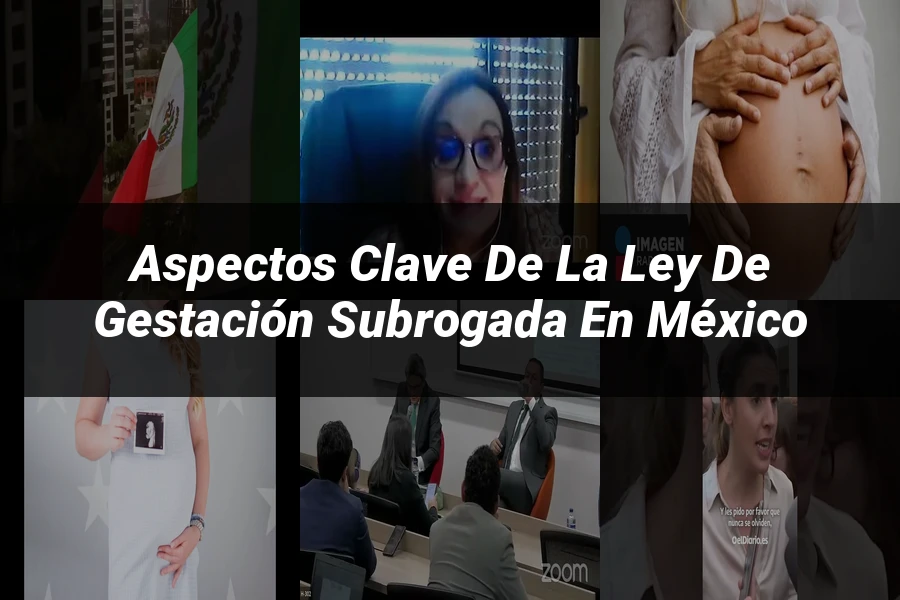 "Aspectos Clave de la Ley de Gestación Subrogada en México"