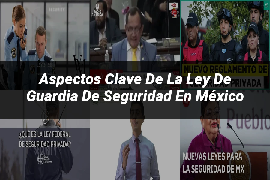 "Aspectos Clave de la Ley de Guardia de Seguridad en México"