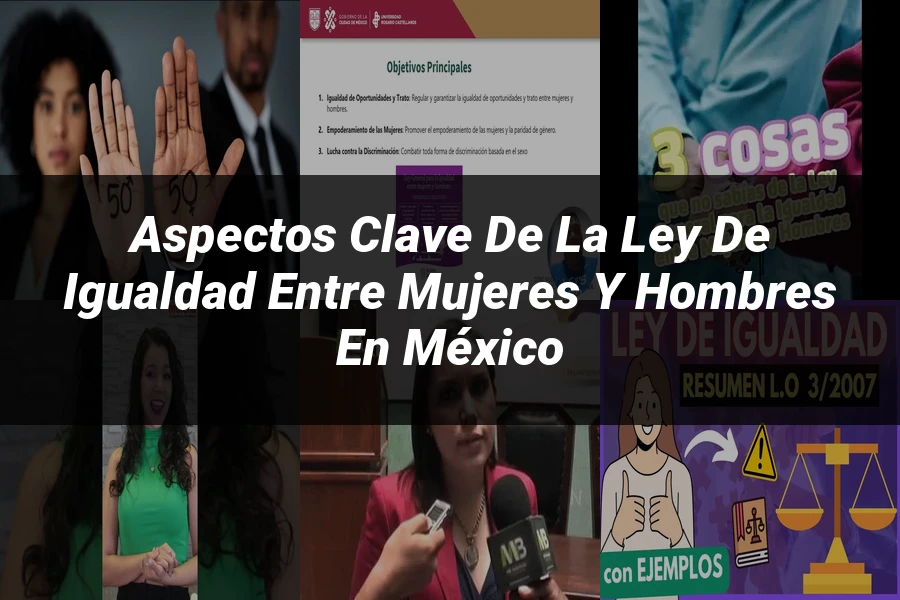"Aspectos Clave de la Ley de Igualdad entre Mujeres y Hombres en México"