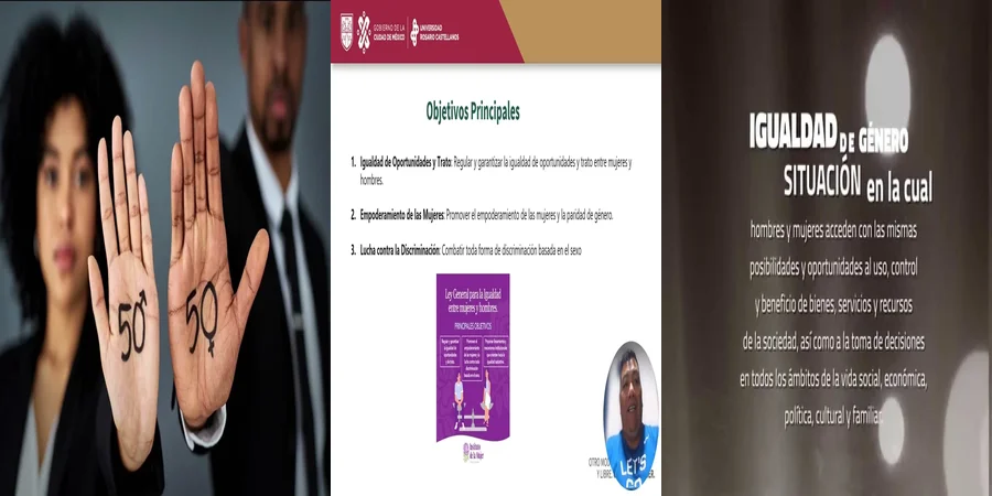 "Aspectos Clave de la Ley de Igualdad entre Mujeres y Hombres en México"
