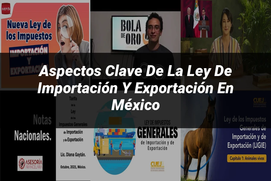 "Aspectos Clave de la Ley de Importación y Exportación en México"