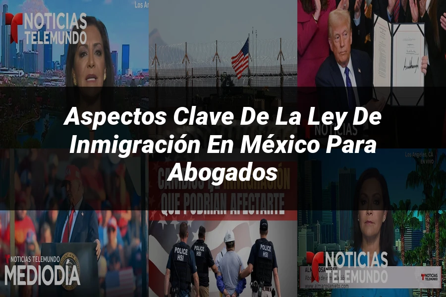 "Aspectos Clave de la Ley de Inmigración en México para Abogados"